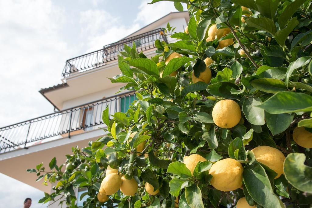 Residence Oleandro Pietra Ligure Εξωτερικό φωτογραφία